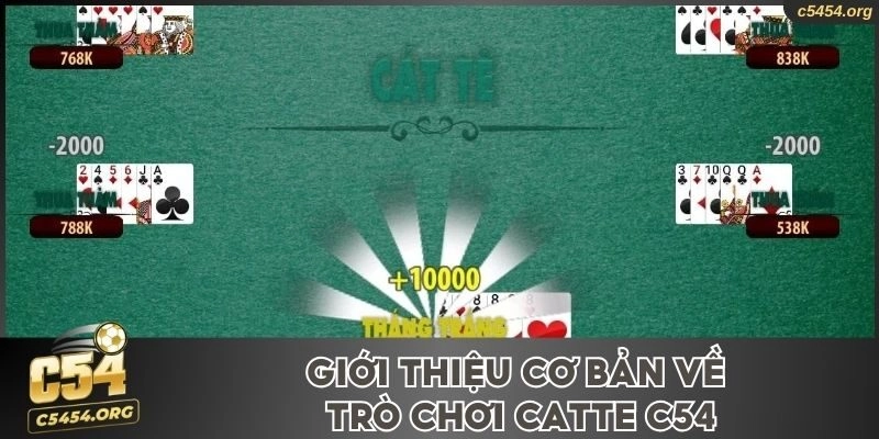 Giới thiệu cơ bản về trò chơi Catte C54